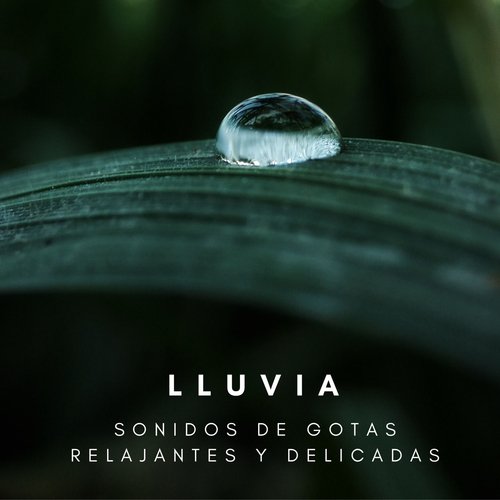 Sonidos De La Lluvia cover art