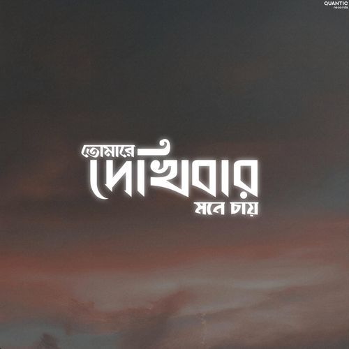 তোমারে দেখিবার মনে চায়