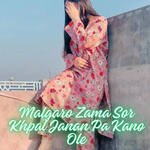 Malgaro Zama Sor Khpal Janan Pa Kano Ole