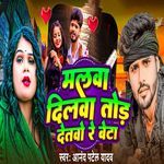 Malwa Dilwa Tod Deto Re