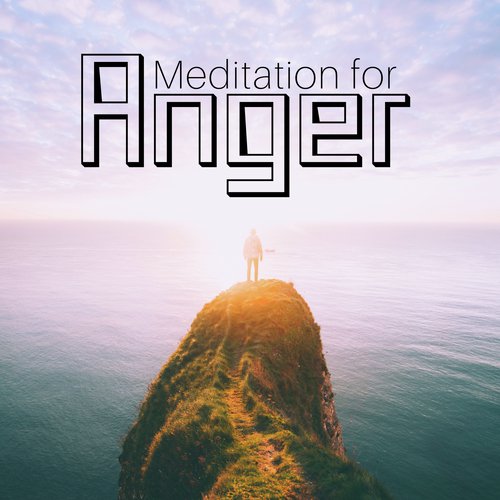 Natural Aid cover art