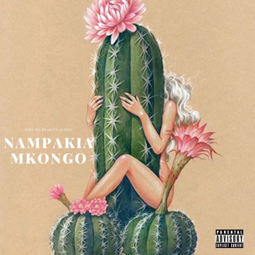 Nampakia Mkongo_poster_image