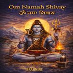 Om Namah Shivay