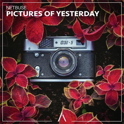 Pictures of Yesterday_poster_image