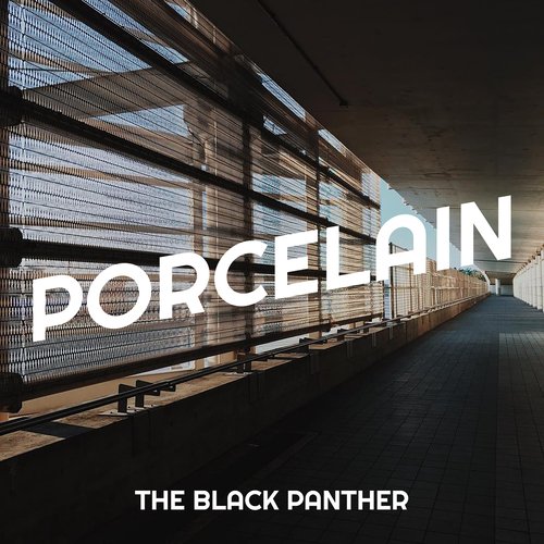 Porcelain cover art