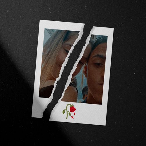 Rosas Frias no Mundo Cinza