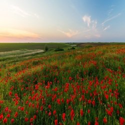 Côte et Plage Brésilienne