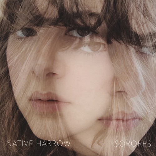Hudson cover art