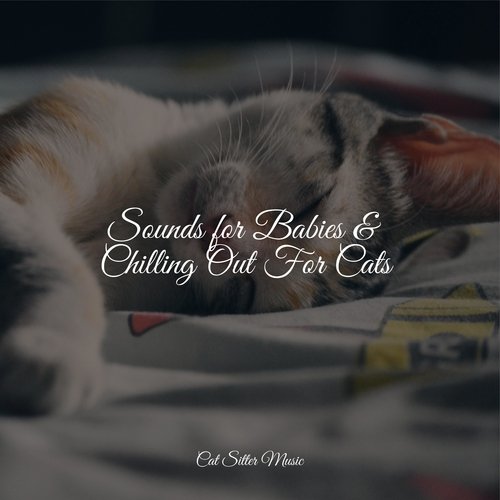 Sounds for Babies & Chilling Out For Cats