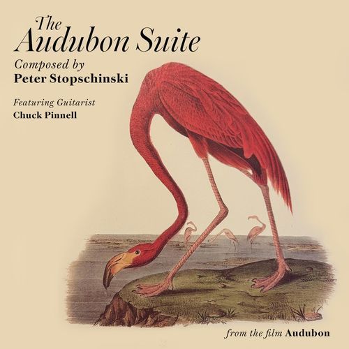 The Roseate Spoonbill (feat. Chuck Pinnell) cover art