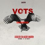 VOTS