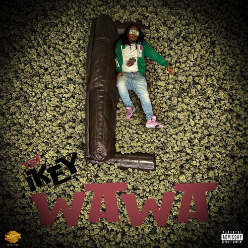 WaWaWa cover art