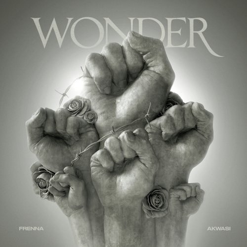 Wonder_poster_image