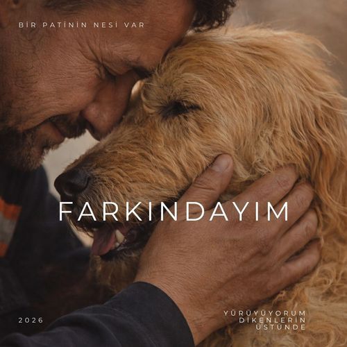 Yürüyorum Dikenlerin Üstünde cover art