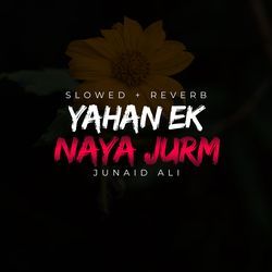 Yahan Ek Naya Jurm Lofi