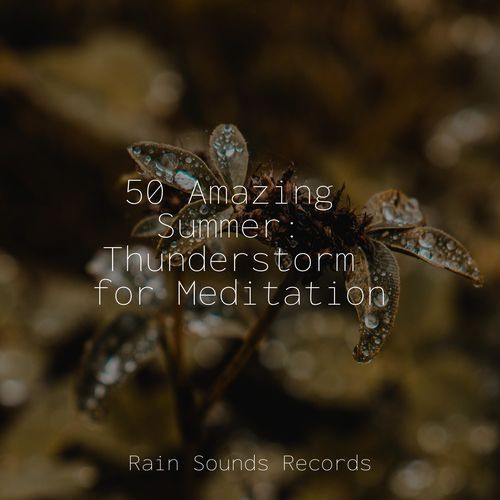 50 Amazing Summer: Thunderstorm for Meditation