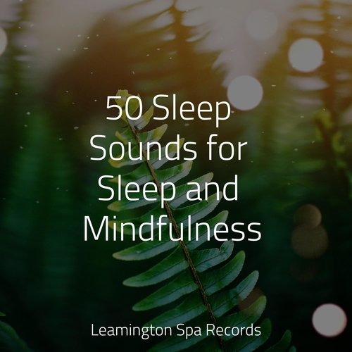 Sleep Music cover art