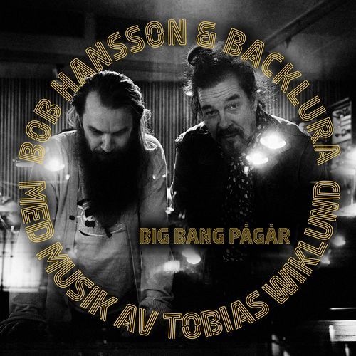 Man mååååste älska (Disclamer) cover art