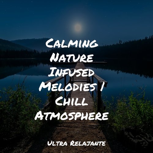 Calming Nature Infused Melodies | Chill Atmosphere_poster_image