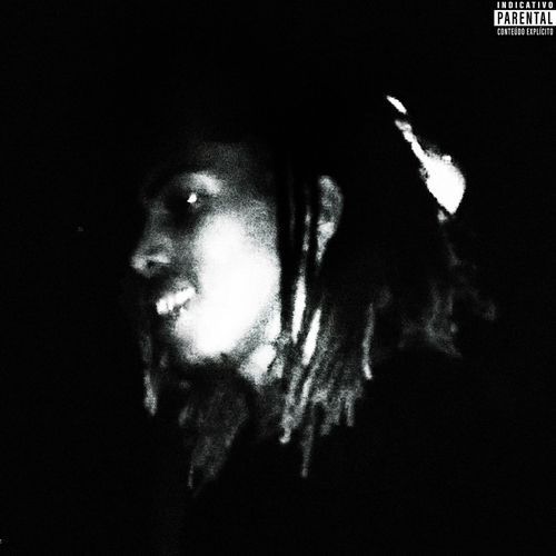 Che Guevara cover art