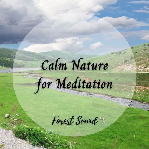 Forest Music cover art