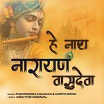 Hey Nath Narayan Vasudeva