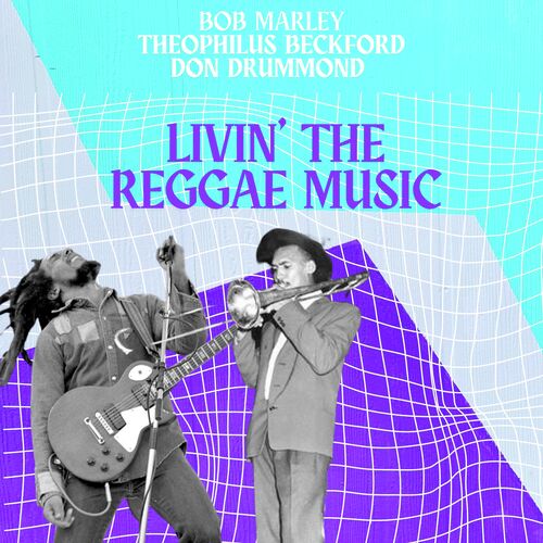 Livin&#039; The Reggae Music_poster_image