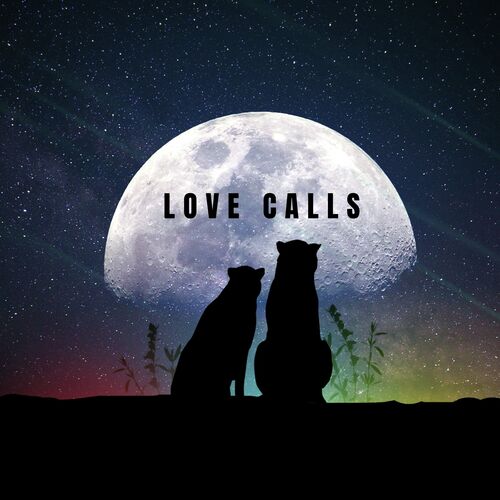 Love Calls