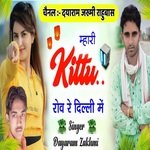 Mari Kittu Rov Re Delhi Me Love Story Meena Geet (Rajasthani)