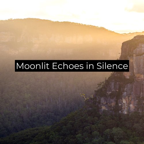 Moonlit Echoes in Silence_poster_image