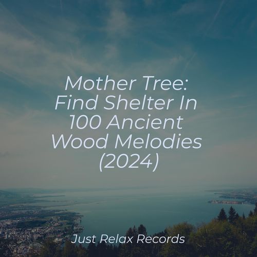 Mother Tree: Find Shelter In 100 Ancient Wood Melodies (2024)