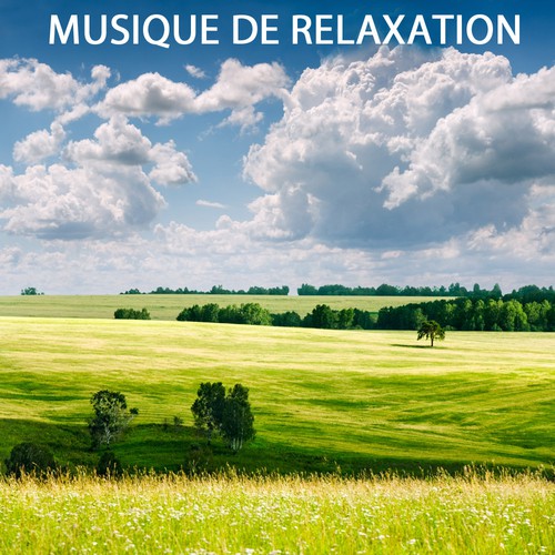 Musique de Relaxation (Musique pour la Découverte du Bien-être)