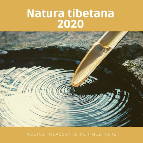 Una sessione di meditazione cover art