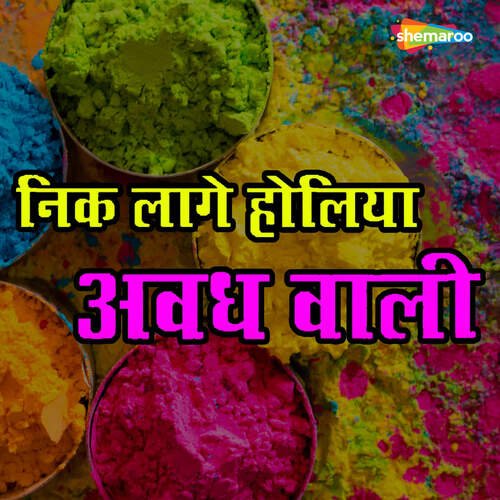 Nik Lage Holiya Avadh Vaali