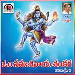 Om Namah Shivaya Shankara