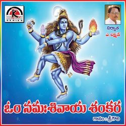 Om Namah Shivaya Shankara