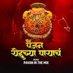 Painjan Yeduchya Payach (Dj Pavan In The Mix)