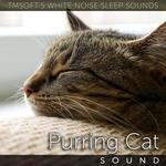 Purring Cat Sound