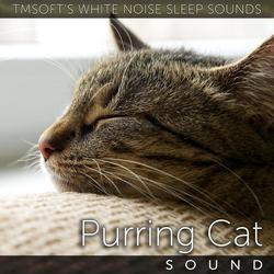 Purring Cat Sound