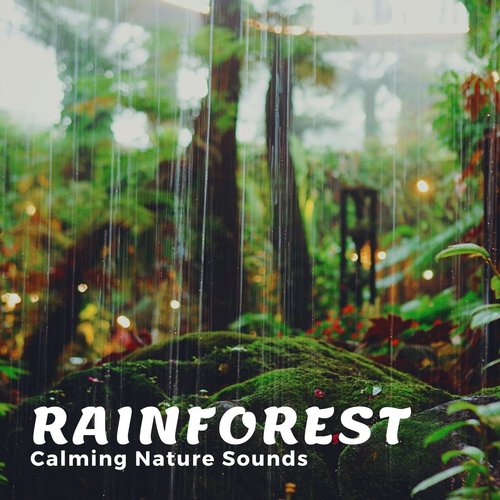 Native Sound cover art