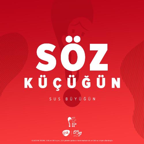 Söz Küçüğün cover art