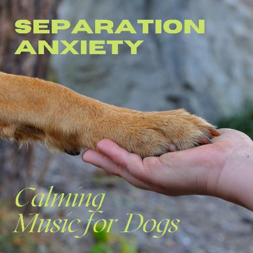 Music for Dogs Collective