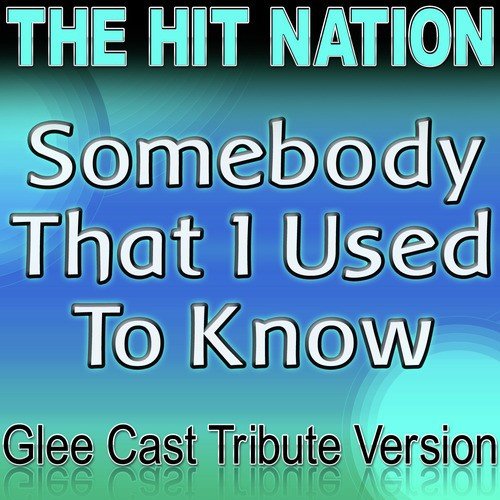 Somebody That I Used to Know - Glee Cast Tribute Version