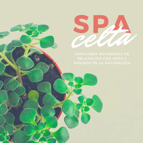 Musica Celta Irlandesa cover art