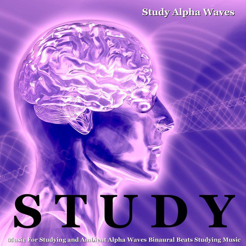 Brain Power Music (Alpha Waves)