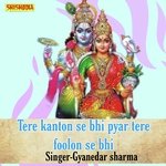 Tere kanton se bhi pyar tere foolon se bhi