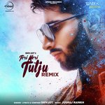 Teri Meri Tutju - Remix