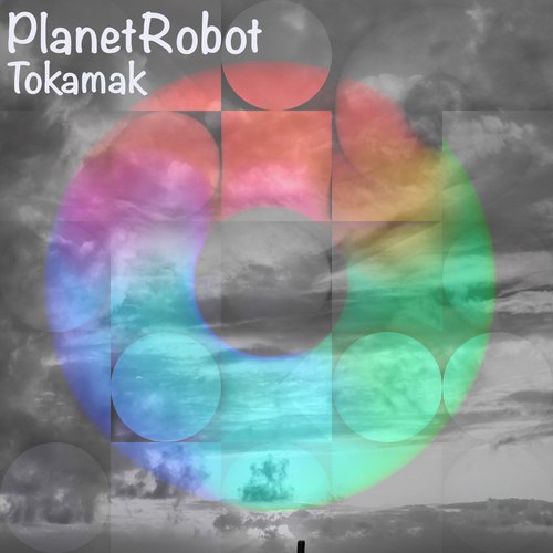 Tokamak cover art