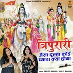 Tripurari Jaisa Dulha Koi Pyara Kya Hoga