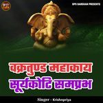 Vakratund Mahakay Surykoti Samprabh